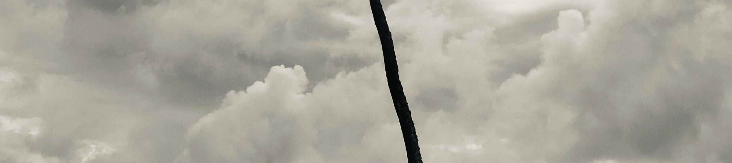 connections5
